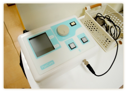 フッ素イオン導入装置
